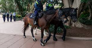 Mar 29, 2021 · millions of people across the five council areas that make up greater brisbane are in lockdown.(abc news: Zdc9ozubqw8q4m