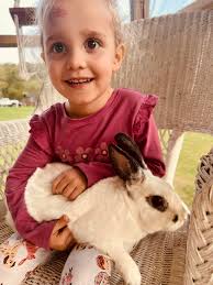 Wisconsin House Rabbit Society welcomed this beautiful trio of bonded  bunnies from the Humane Society of St. Joseph County in Indiana today! Meet  Minnie, Daisy and Roger. Guess which one is Minnie?