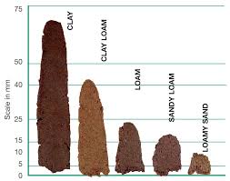 Estimating Soil Texture By Hand Agriculture And Food