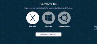 With the power of the salesforce chatter you can now connect to your customers in a whole new way from your windows 10 device. Salesforce Cli Installation Commands Configuration And Advantages Jayakrishna Ganjikunta
