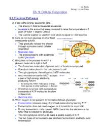 Cellular respiration refers to a set of processes and reactions taking place in the cells to convert the energy that they obtain from nutrients into atp. 9 2 Cell Respiration Worksheet