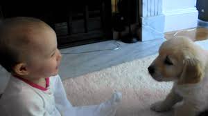 How do dogs have babies? Baby And Puppy Meet For The First Time Youtube