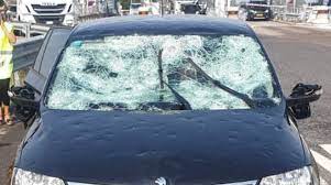 Campiglossa grandinata name synonyms campiglossa borealis (portschincky, 1875) campiglossa effigenda korneyev, 1990 campiglossa effingenda dirlbek & dirlbek, 1971 oxyna borealis portschinsky, 1875 oxyna grandinata rondani, 1870 tephritis beckeri rubsaamen, 1910 homonyms campiglossa grandinata (rondani, 1870) Bo12jxibvae9lm