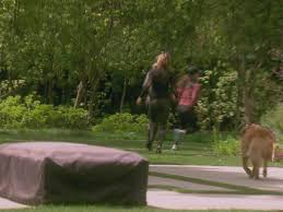 Taman rekreasi wiladatika cibubur merupakan tempat wisata yang berlokasi di cimanggis, depok jawa barat. Prime Video The Real Housewives Of Beverly Hills Season 9