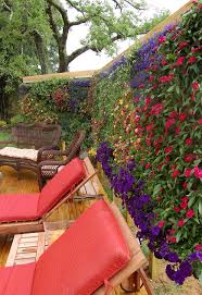 The final method and my personal the most effective privacy screens are comprised of evergreen plants which offer privacy all year long. 10 Ways To Create Outdoor Privacy With Plants Bees And Roses