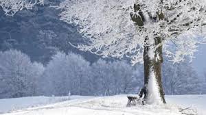 Prognoza meteo in municipiul bucurești vineri, 30 iulie, 2021, capitala romaniei, vremea pe ore in bucurești azi, maine si pentru 10 si 15 zile. Prognoza Meteo Pentru Luna Decembrie Cum Va Fi Vremea De CrÄƒciun Zonele Unde Vor Predomina Ninsorile