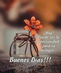 Yoly Chang (yolychyee4074)