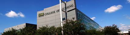 College Of Nursing Overview Usf Health