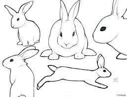 Image Result For Rabbit Outline Drawing Risunok Krolika Tatuirovki S Krolikom Risunki Krolikov