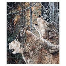 Unity Wolf Fleece Plush Blanket Tq7421 Buffalo Trader Online In 2020 Plush Blanket Wolf Fleece Fleece Blanket