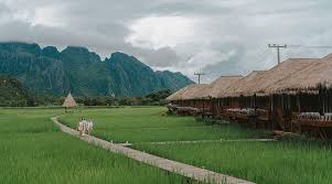 Image result for Vangueria domatiosa