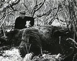 In an interview with the anchorage daily news, winnen said while he was deer hunting, he had hoped for a shot at a bear, picking up proper permits before and bringing the right gun. The 4 Largest Bears Ever Taken By Hunters Outdoorhub