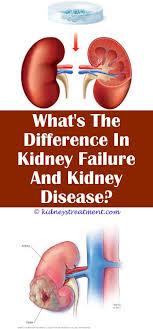 Kidney Disease Diet Life Kidney Disease Polycystic Kidney Disease Chronic Kidney Disease