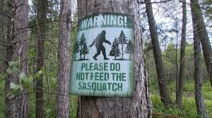 Tons of awesome bigfoot wallpapers to download for free. Mythical Or Mysterious Search For Bigfoot Alive Among Montana Believers Keci