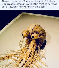 Definitely Feel Better With My Organic Spacesuit On Nervous Nervoussystem Brain Eyes Spine Nerves Fles Food Memes Flying Spaghetti Monster Space Suit