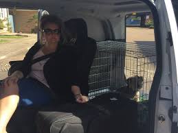 Get in touch now we look forward to hearing from you! Uk To Italy Pet Transport By Road 1 Pet Travel Pets2go2