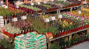 Home depot 4th of july sale. Home Depot Garden Center Reviews In Misc Chickadvisor