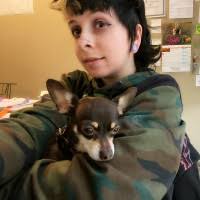 50+ "Legault" profiles