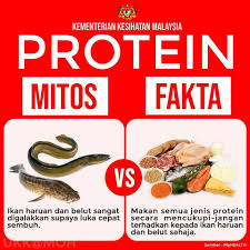 Makanan pedas yang biasanya diolah dari cabai, memiliki kandungan zat bernama capsaicin di dalamnya. Klinik Avicenna Lepas Sunat Nanti Makan Belut Ya Pesan Facebook