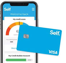 We did not find results for: A Review Of The Self Visa Credit Card Clever Girl Finance
