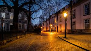 We've gathered more than 5 million images uploaded by our users and sorted them by the most popular ones. Wallpaper Netherlands Breda Street Lights Trees Houses Night 1920x1200 Hd Picture Image