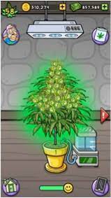 Check spelling or type a new query. Pot Farm Wikipedia