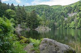 Lac De L Altenweiher Mittlach Visit Alsace