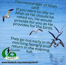 Birds Chirping In The Morning Islam The Messenger Of Allah Said If You Were To Rely On Allah As He Should Be Relied On He Would Provide For You As He Prov Keep The Faith Islamic Quotes