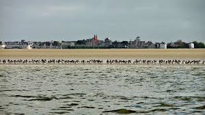 Maison De Pecheur Au Coeur St Valery Somme Meuble Tourisme Saint Valery Sur Somme Saint Valery Tourisme Le Crotoy