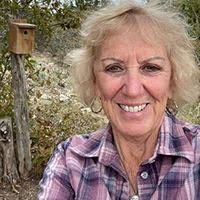 Jill Helm's Instagram, Twitter & Facebook