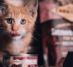 Carnilove Ingredients: Complete Nutrition for Dogs and Cats