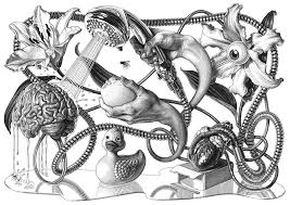 Pin On Illustration 3