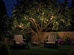 Und Auch Die Baume Konnen Durch Unsere Outdoor Lichterketten Im Schonen Licht Erstrahlen Schlie Gartenbeleuchtung Aussenbeleuchtung Garten Beleuchtung Garten