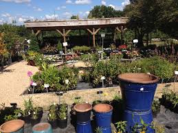 Petals from the past, jemison, al. Petals From The Past Shooflyfarmblog