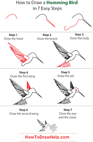 How To Draw A Hummingbird Step By Step Tutorial Hummingbird Drawing Humming Bird Art Bird Drawings
