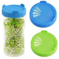 We did not find results for: 2pcs Plastic Hollow Strainer Sprouting Lids For Wide Mouth Mason Jars Water Tray Ebay