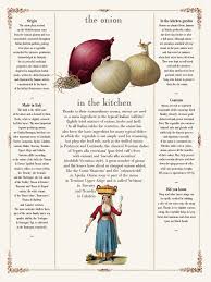 Cipolla Onion Emilia Romagna Passion Food Italy