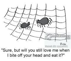 It does belong to the same class which includes spiders, scorpions and mites. What Dream About Spider Bites Means
