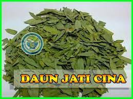 We did not find results for: Bolehkah Teh Daun Jati Cina Campur Lemon Pelangsing Alami