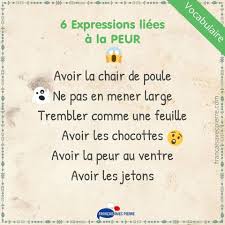 Voir plus de contenu de français avec pierre sur facebook. Pin By Agnes Senzier On Expressions Imagees Learn French Language Resources Idioms