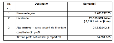 Jumătate dintre companiile listate pe piața principală a bursei de valori bucurești au decis să ofere dividende, sume distribuite acționarilor de către companii din profitul aferent exercițiului financiar anterior. Sif Transilvania Propune Un Dividend De 0 0121 Lei AcÅ£iune Reprezentand Un Randament De 5 58 Financial Intelligence