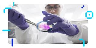 Conducting medical research and analysis. Singapore Innoquest Diagnostics