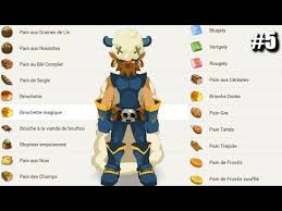 Dofus Ilyzaelle Jour 5 Le Metier 100 Rentable Youtube
