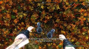 Immersive Armor and Joy of perspective don't work together. Now I know. : r/ skyrim