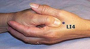 Pin On Health