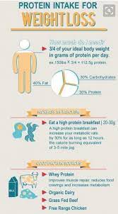 Pin On Protein