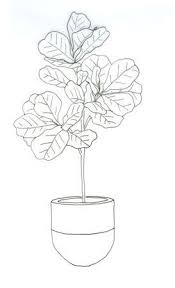 Pin By Niklas Moisander On Clematis Trellis Plant Sketches Fig Drawing Leaf Drawing