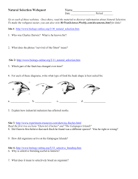 Evolution, and, natural, selection, webquest, answer, key created date: What Does Fittest Mean In Biology