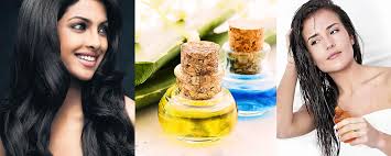 Regular tea or green tea is best; Best Home Remedies For Get Black Hair Naturally Fashionbuzzer Com