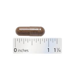 Image result for Vitex strickeri